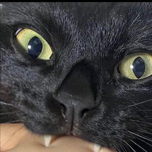 Meet your Posher, Camila